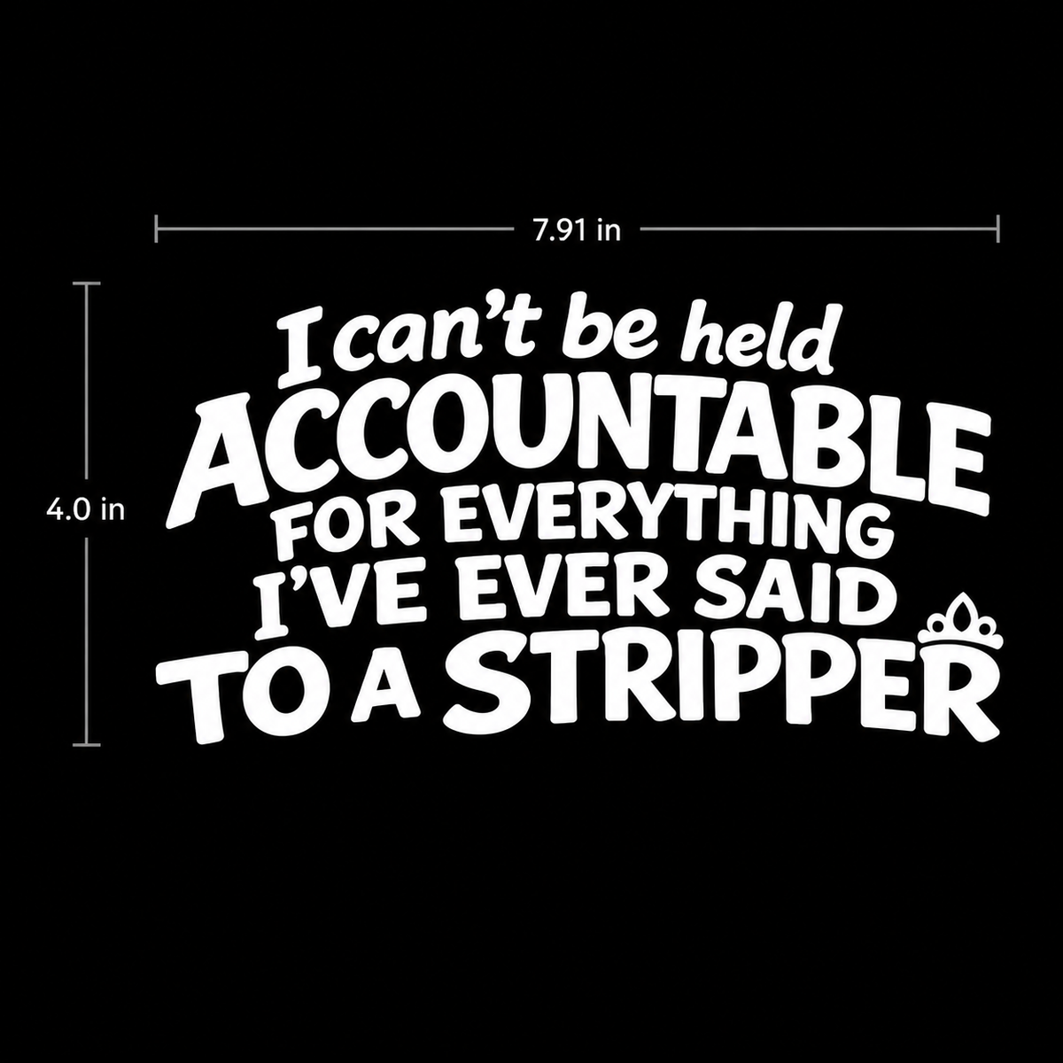 I Can't Be Held Accountable For Everything I've Ever Said To A Stripper Car Window Decal